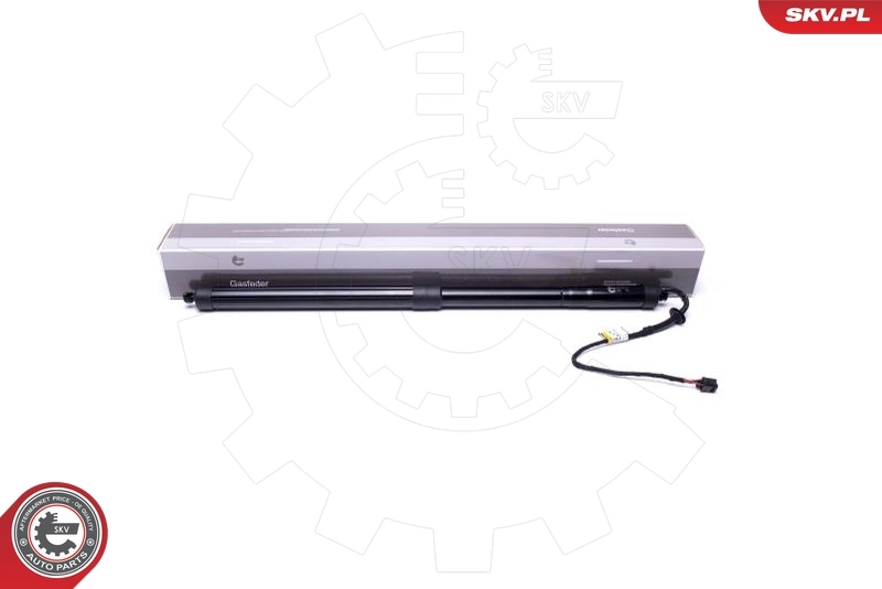 Electric Motor, tailgate